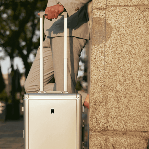 Best aluminum luggage shop