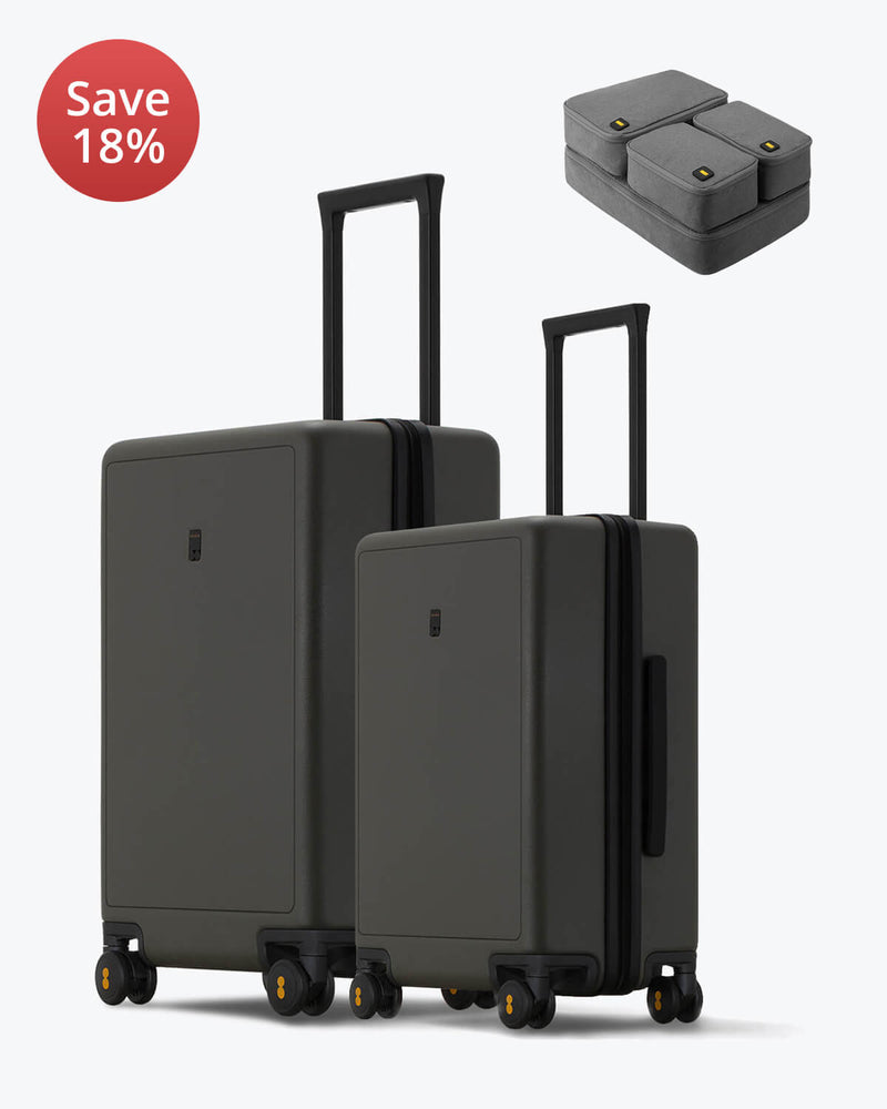 Matte Luggage 2 Piece Set