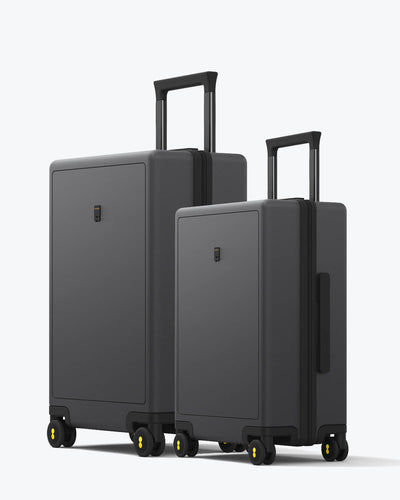 Luminous Textured Luggage Set 20'' & 24''