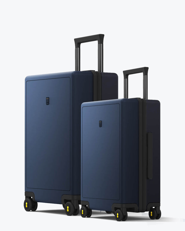 Luminous Textured Luggage Set 20'' & 24''